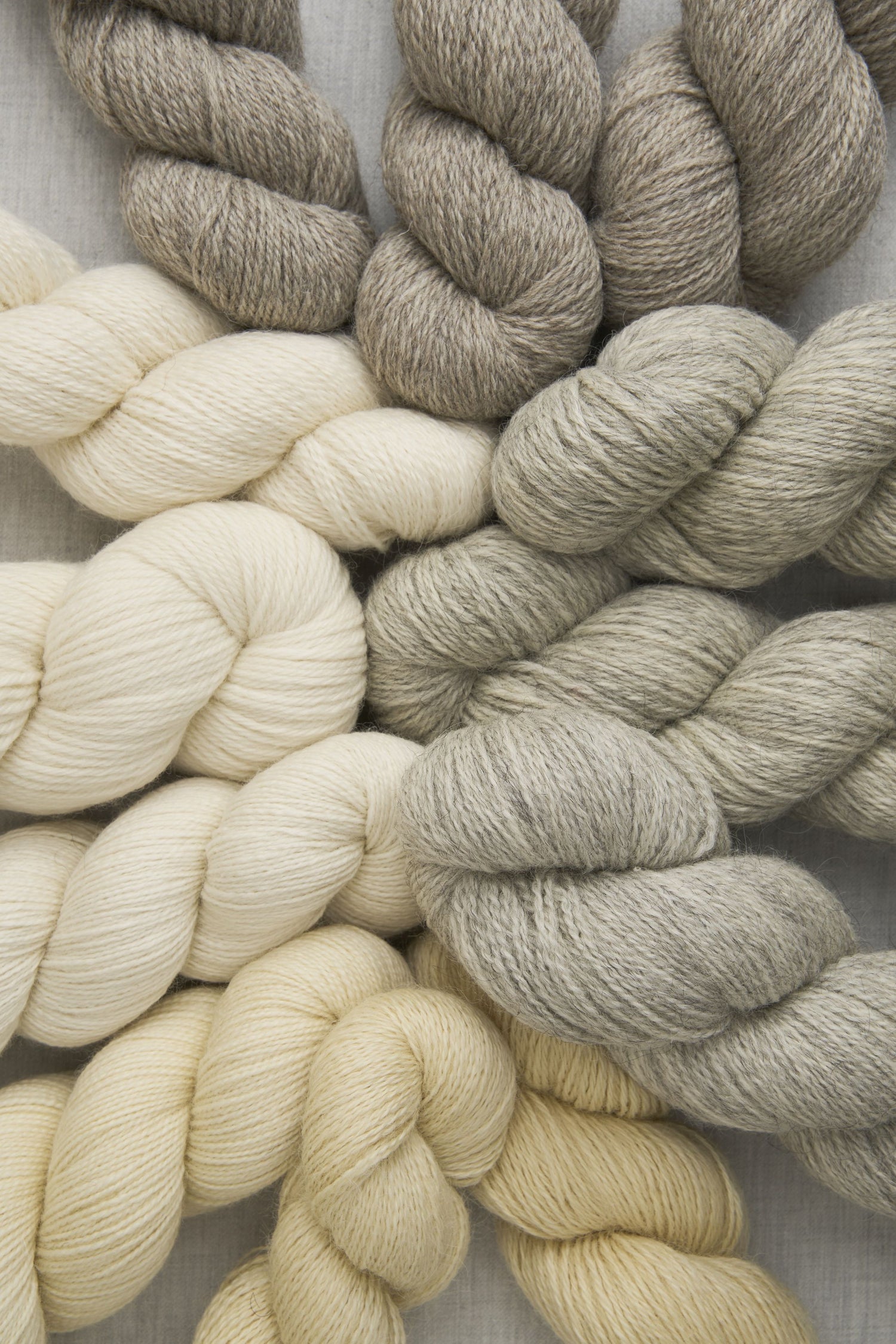 Bramble & Fleece Origin