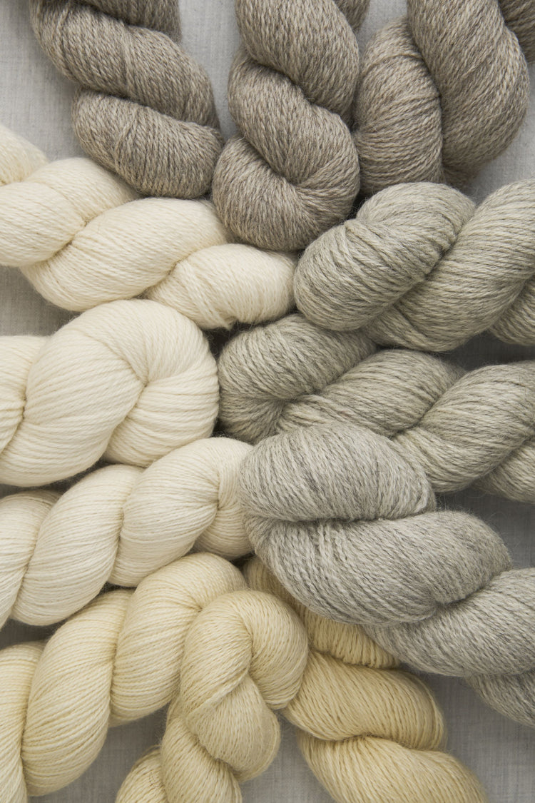 Bramble & Fleece Origin