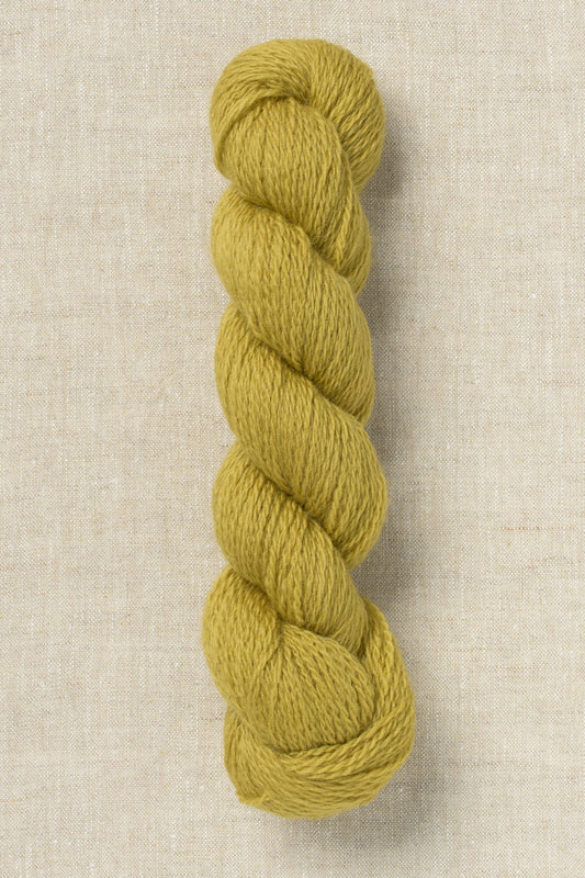 Bramble & Fleece Wooltrace 4ply 248 Dried Lime (Bag of 10)