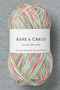 Arne & Carlos Socks & More 4Ply Sketchbook Color (Bag of 5) (New)