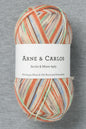 Arne & Carlos Socks & More 4Ply Last Brushstroke Color (Bag of 5) (New)