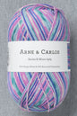 Arne & Carlos Socks & More 6Ply Star Night Color (Bag of 5) (New for FW26)