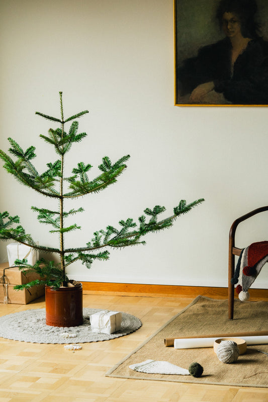 Jul No 5 by Augustins for Hillesvåg