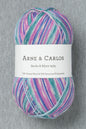 Arne & Carlos Socks & More 4Ply Star Night Color (Bag of 5)