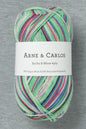 Arne & Carlos Socks & More 4Ply Frost Night Color (Bag of 5)