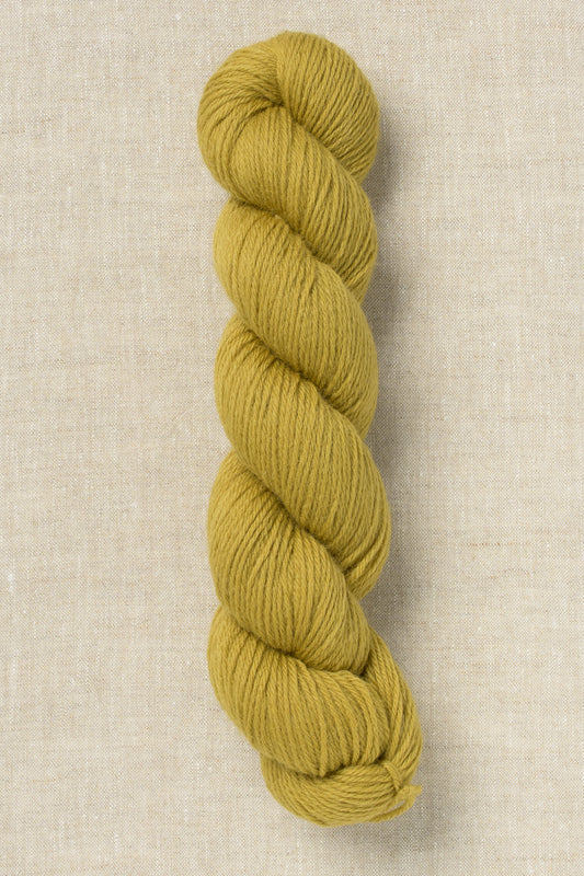Bramble & Fleece Wooltrace DK 306 Dried Lime (Bag of 10)